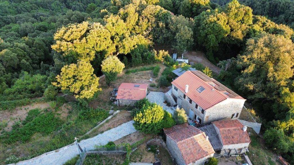 Chez Paulette - Meuble De Tourisme Classe 3 Etoiles Zonza Bagian luar foto