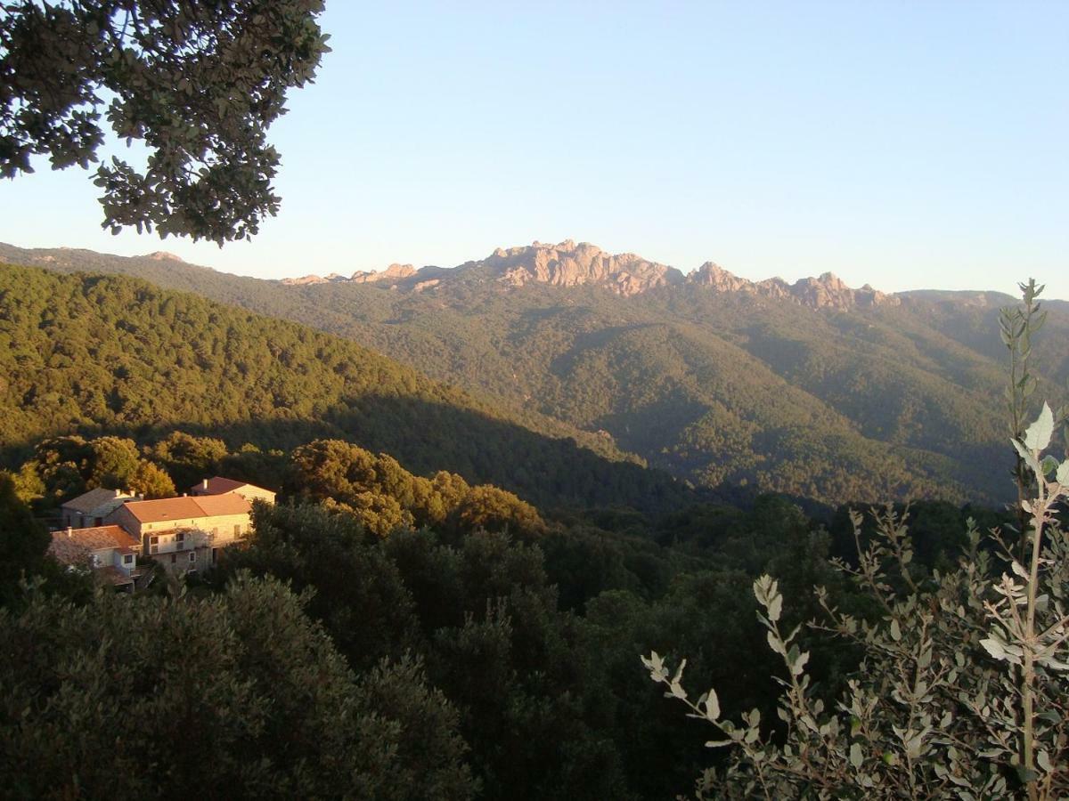 Chez Paulette - Meuble De Tourisme Classe 3 Etoiles Zonza Bagian luar foto
